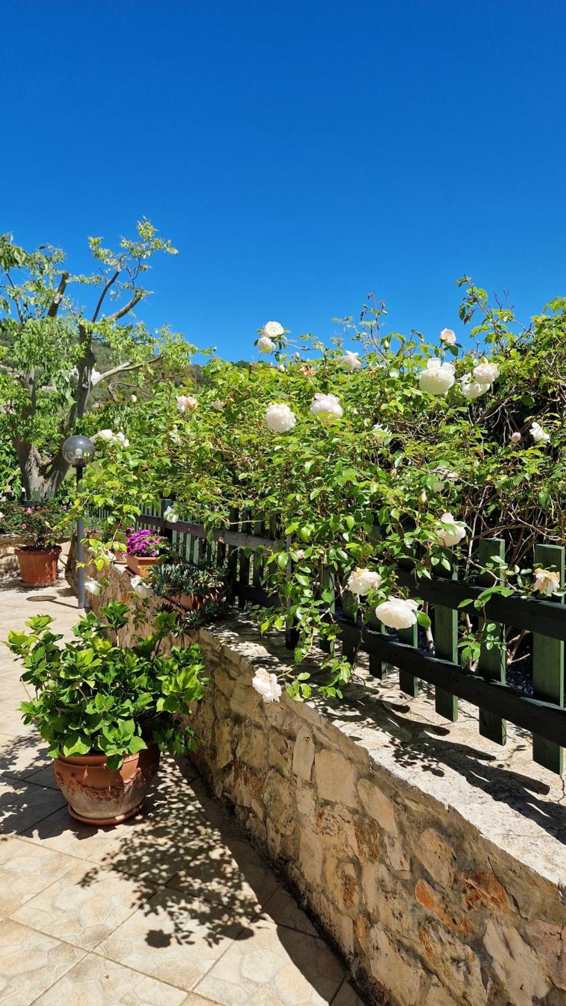 Вилла Trullo Grande Noce Остуни Экстерьер фото